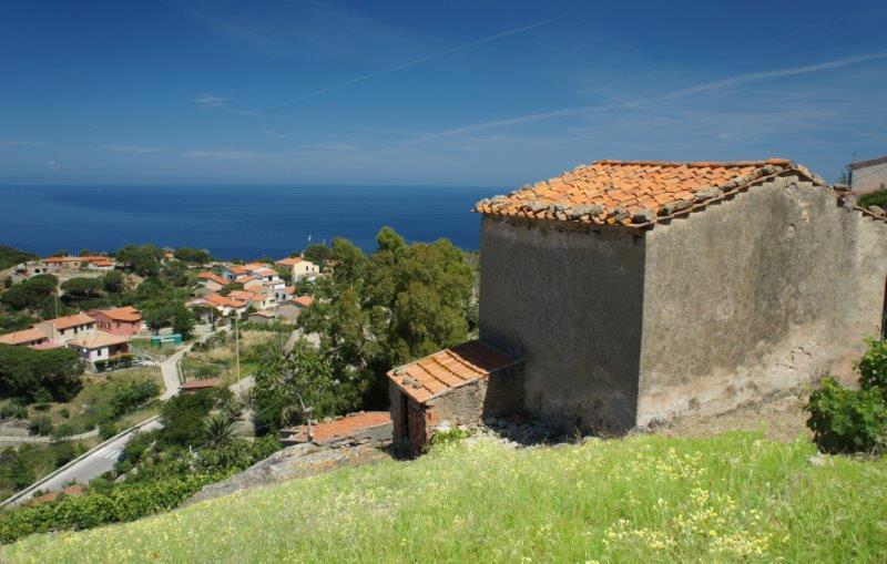 Palmento alla Gabbiola, loc. Colle d'Orano In splendida posizione dominante con vista sul mare e la Corsica, vecchio e tipico magazzino rurale elbano da ristrutturare. Prezzo ribassato!